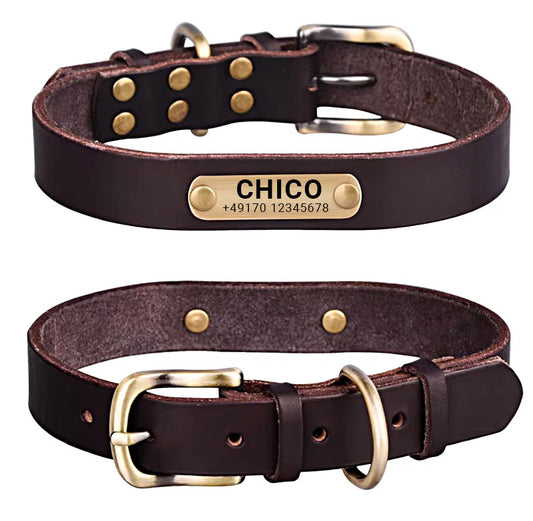 Collare per cani in vera pelle con fibbia in ottone in quattro colori e incisione gratuita di nome e numero di telefono