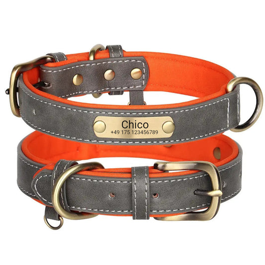Collare elegante per cani con incisione, grigio PU, interno in rete di neoprene arancione, anello per medaglietta