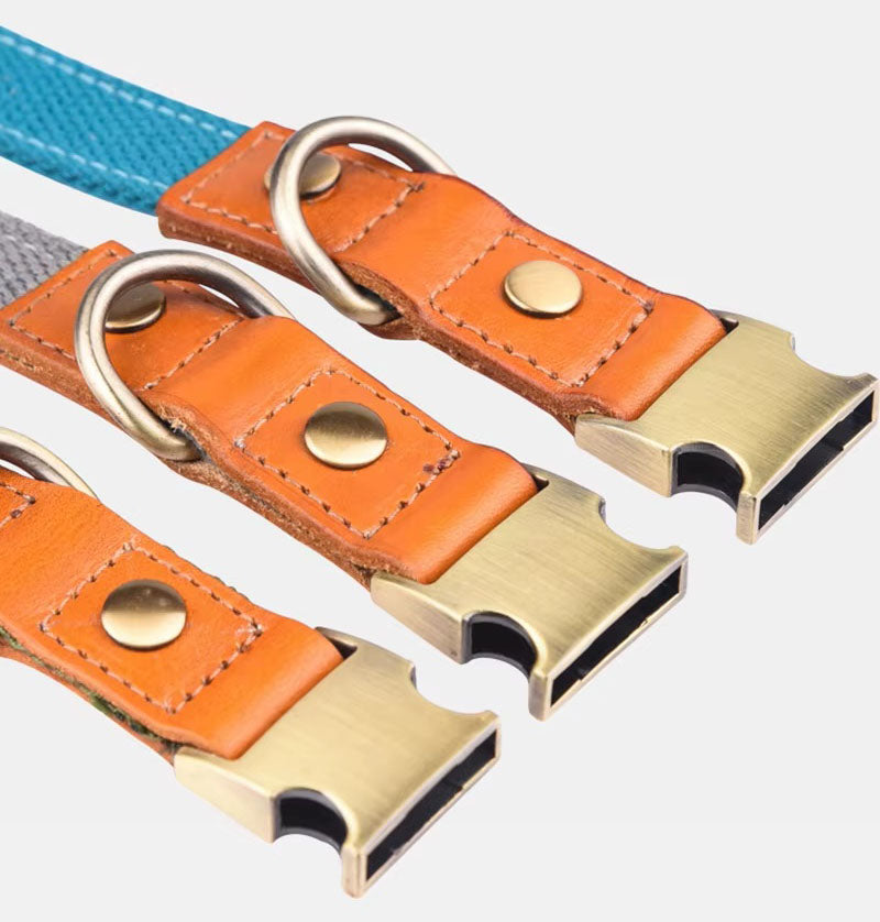 Collare per cani "Valdo" con incisione - robusto tessuto PE e pelle - ottone opaco - blu navy, azzurro o verde (S-L)