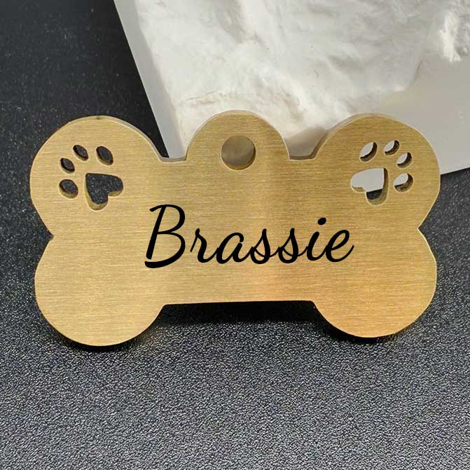 Elegante medaglietta in ottone "Brassie" con disegno di zampa e incisione personalizzata