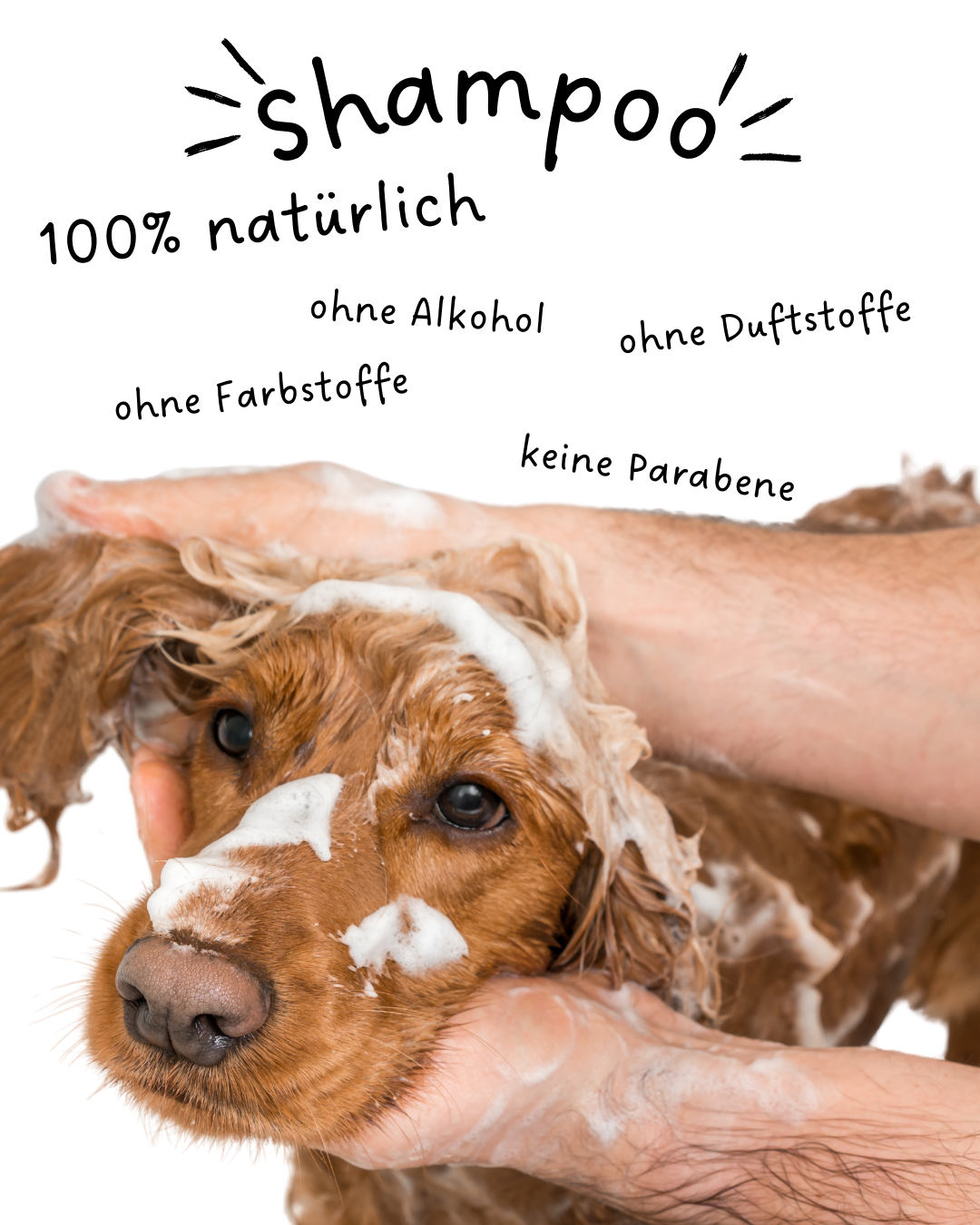 Riolino Shiny Fur Shampoo - Trattamento delicato per un pelo lucido