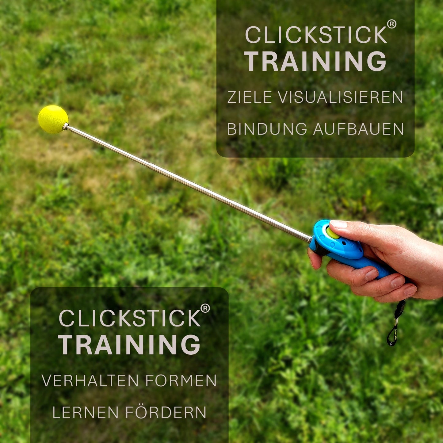 ASCO ClickStick - Bastone bersaglio con clicker premium staccabile - Bastone bersaglio per l'addestramento a click del cane e del gatto - Bastone bersaglio allungabile con clicker extra - Bastone bersaglio per l'addestramento a target