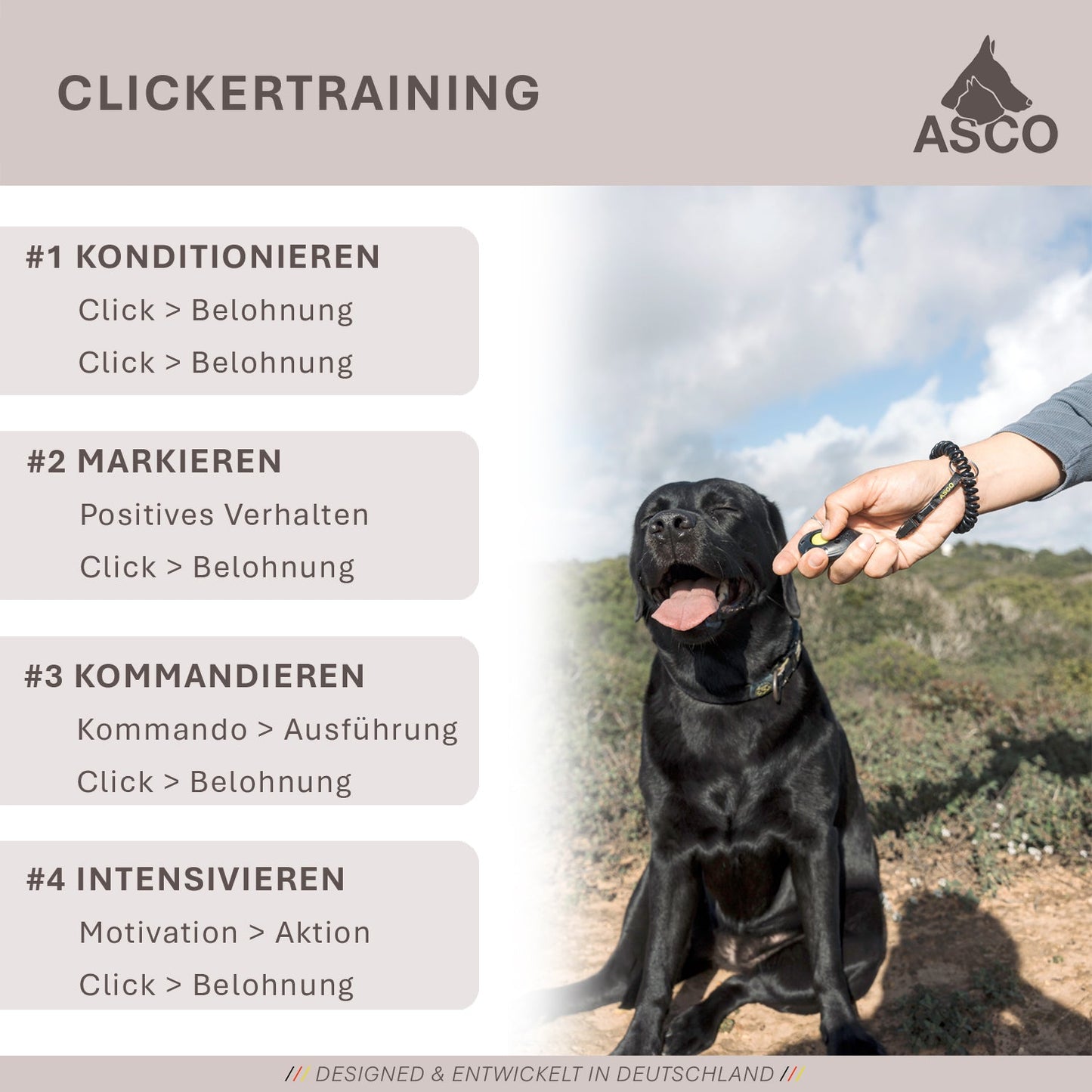 ASCO Finger Clicker - Clicker premium per l'addestramento di cani, gatti e cavalli