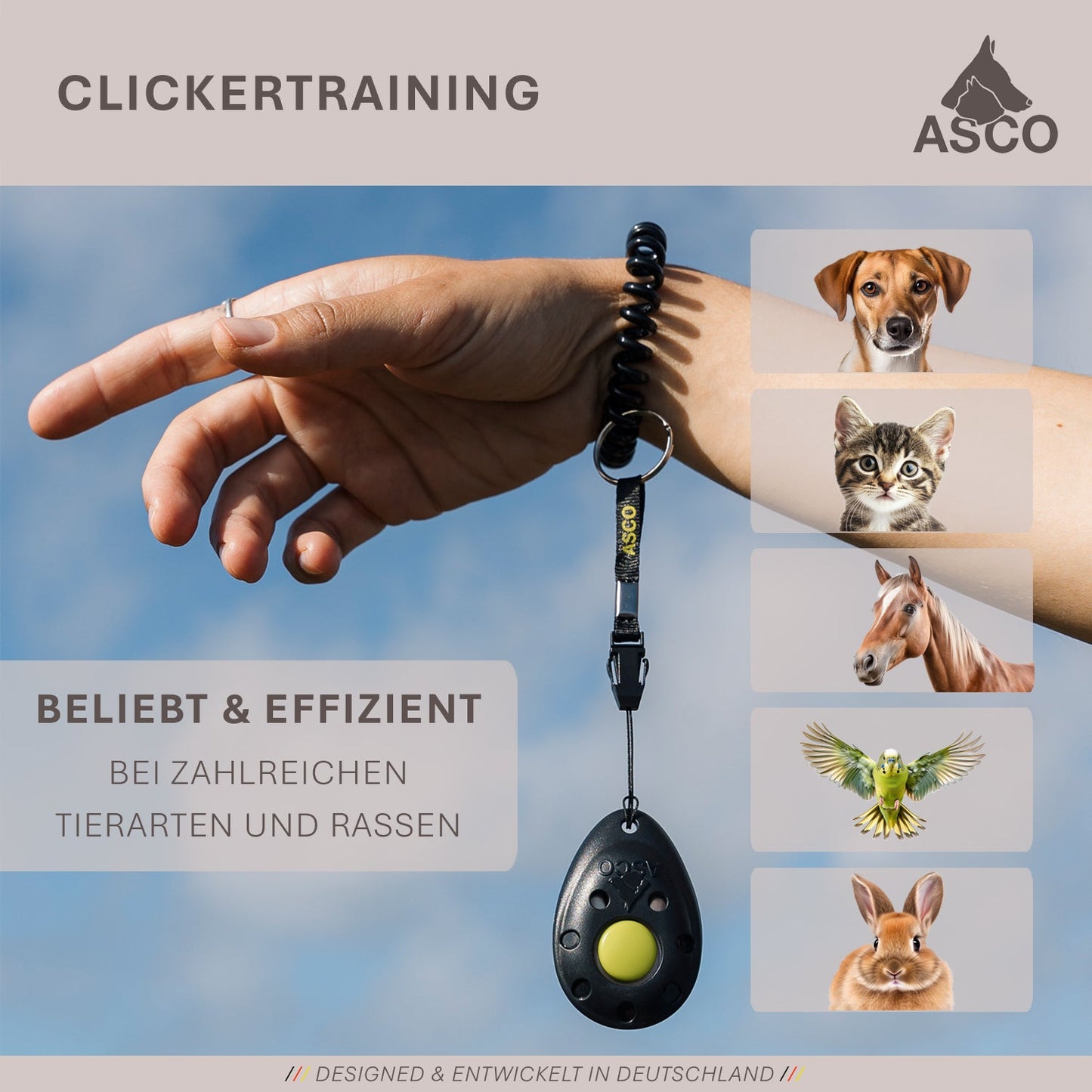 ASCO Finger Clicker - Clicker premium per l'addestramento di cani, gatti e cavalli
