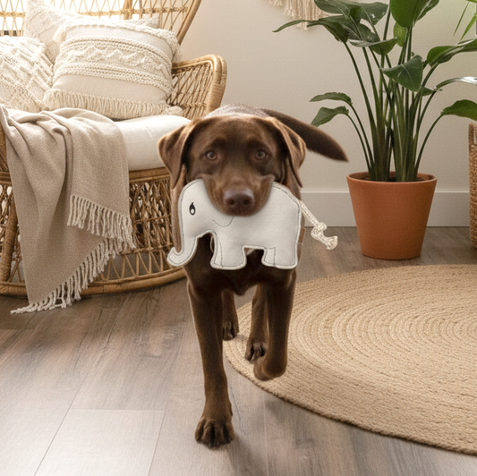 BUDDY. Giocattolo per cani in pelle "Elefante"