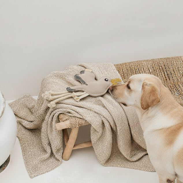 BUDDY. Giocattolo per cani in pelle "Gabbiano"