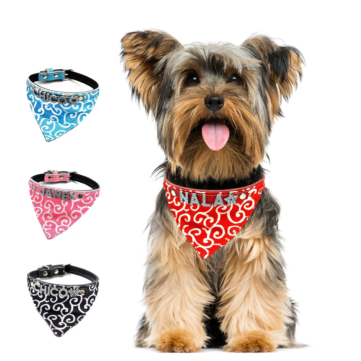 Bandana per cani con nome e collare in vera pelle. Con lettere tempestate di strass scintillanti.