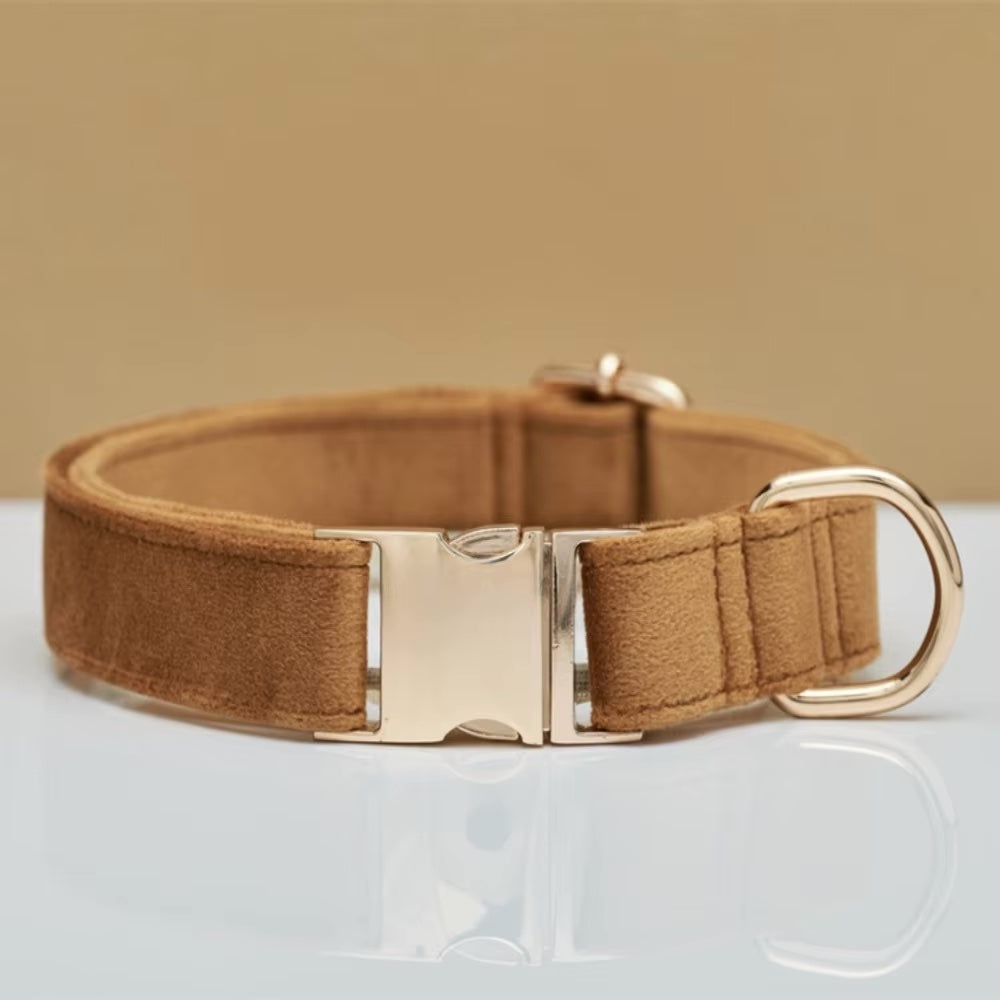 Collare per cani in velluto personalizzato "Emilia" con incisione – Regolabile ed Elegante 