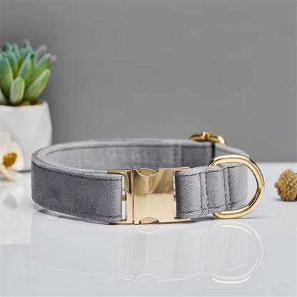 Collare per cani in velluto personalizzato "Emilia" con incisione – Regolabile ed Elegante 