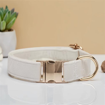 Collare per cani in velluto personalizzato "Emilia" con incisione – Regolabile ed Elegante 