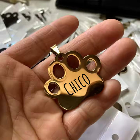 Cane tag zampa