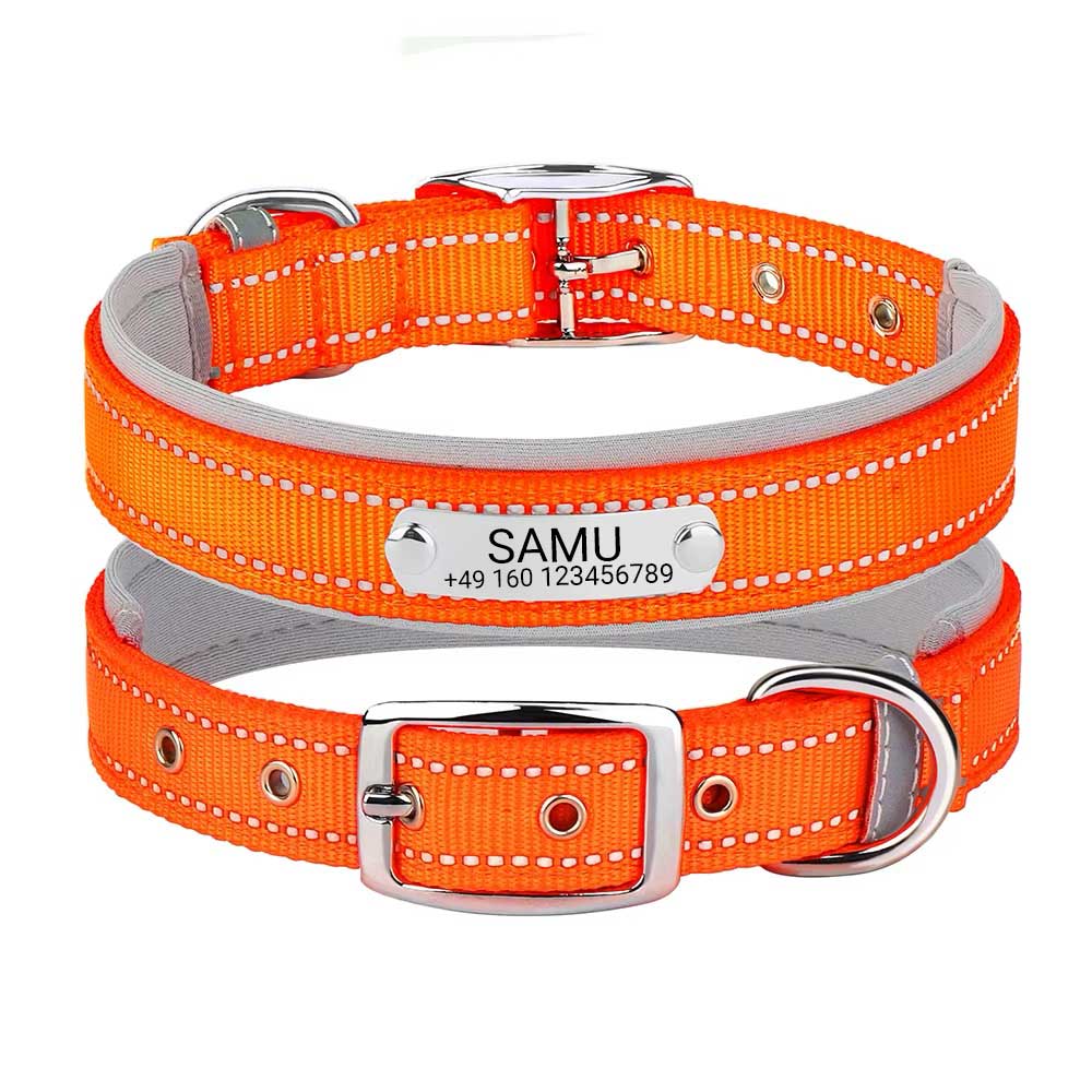 Collare per cani "Samu" inciso con cuciture di sicurezza riflettenti. Personalizzazione con nome e numero di telefono