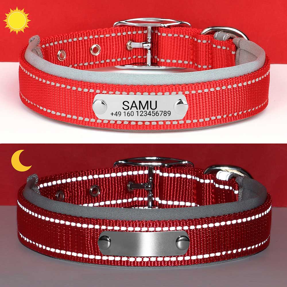 Collare per cani "Samu" inciso con cuciture di sicurezza riflettenti. Personalizzazione con nome e numero di telefono