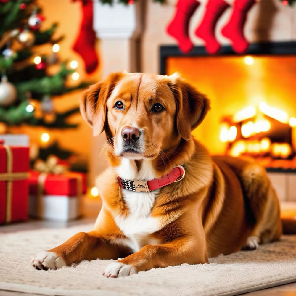 Collare personalizzato per cani Lovi in nylon e pelle - Nome e numero di telefono (S-L)