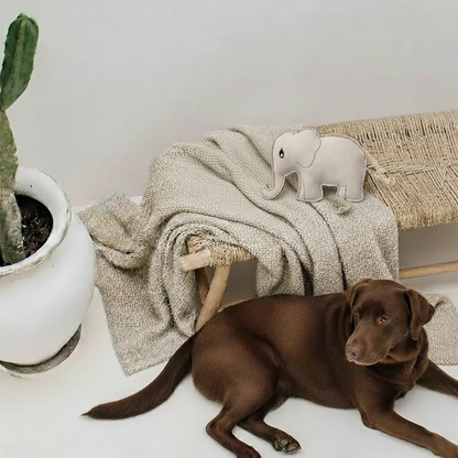 BUDDY. Giocattolo per cani in pelle "Elefante" 