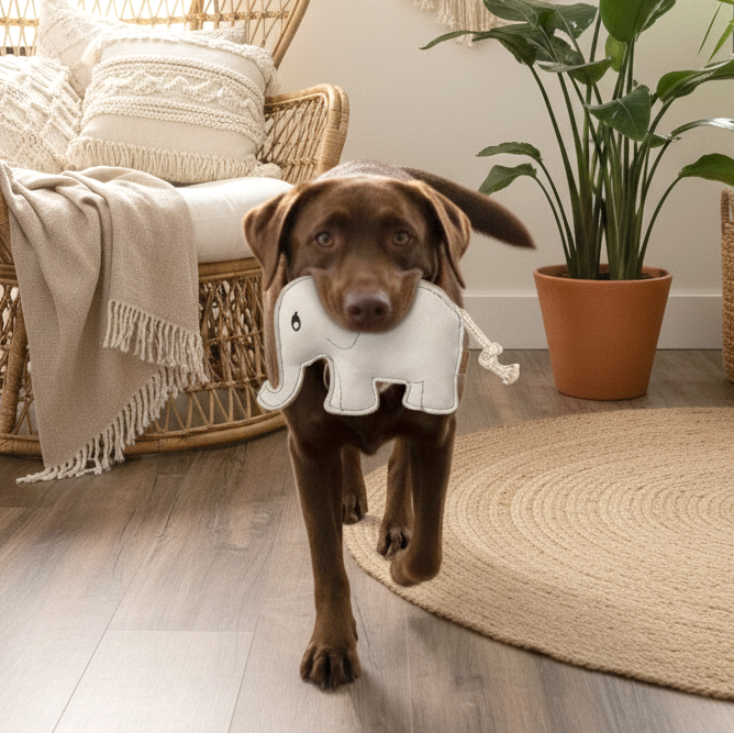 BUDDY. Giocattolo per cani in pelle "Elefante" 