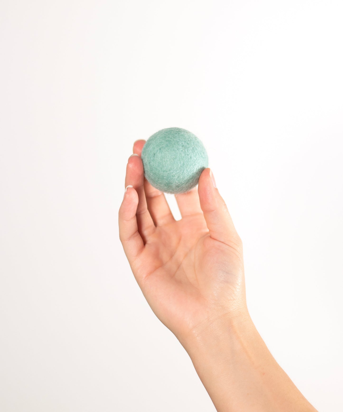 BUDDY. Giocattolo per cani in lana di pecora "Palla" - Menta 