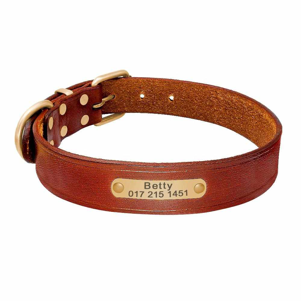 Braunes Leder Hundehalsband mit goldfarbener Namensmarke und gratis Gravur