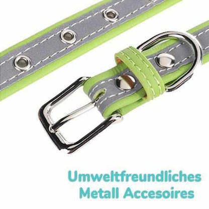 Reflektierendes Personalisiertes Hunde Halsband inkl. GRATIS GRAVUR 36-56cm